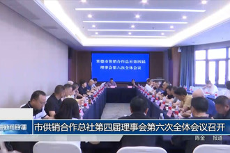 常德市供销合作总社第四届理事会第六次全体会议召开