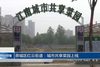鼎城区红云街道：城市共享菜园上线