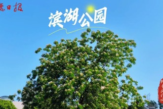 【武陵区】“绿宝石”滨湖公园