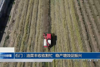 石门：油菜丰收收割忙 稳产增效促振兴