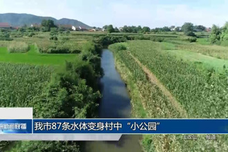 87条水体变身村中“小公园”