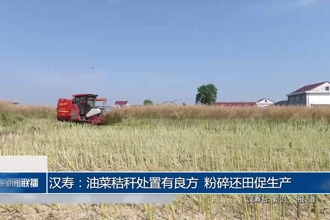 汉寿：油菜秸秆处置有良方 粉碎还田促生产