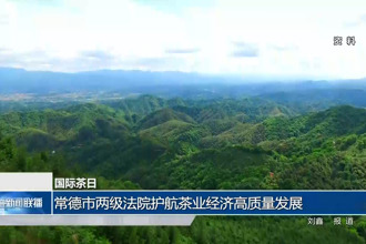 国际茶日：常德法院护航茶业经济高质量发展