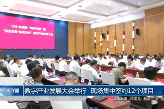 武陵：数字产业发展大会举行 现场集中签约12个项目