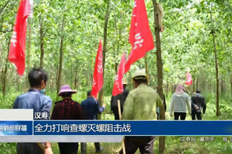 汉寿：启动查螺灭螺专项行动