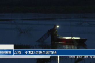汉寿：小龙虾走俏全国市场