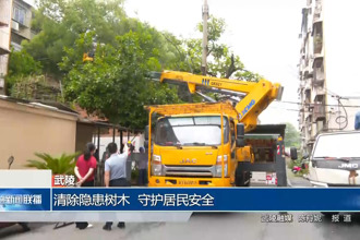 武陵：清除隐患树木 守护居民安全