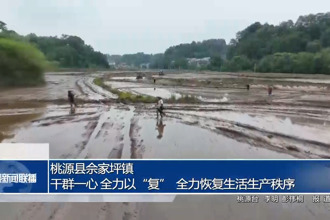 桃源县佘家坪镇：干群一心 全力以“复” 全力恢复生活生产秩序