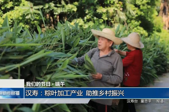 我们的节日 端午(5月30日)