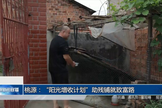 桃源：“阳光增收计划”助残铺就致富路