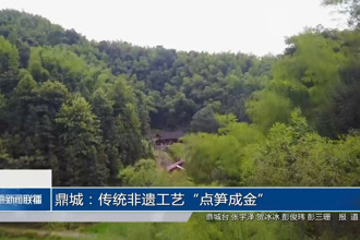 鼎城：传统非遗工艺“点笋成金”