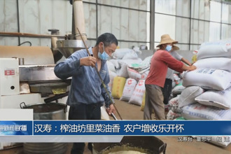 汉寿：榨油坊里菜油香 农户增收乐开怀