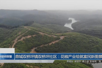 鼎城双桥坪镇双桥坪社区：花椒产业绘就富民新图景
