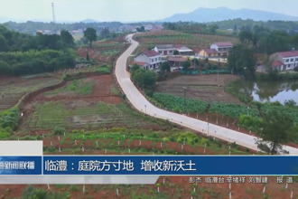 临澧：庭院方寸地 增收新沃土