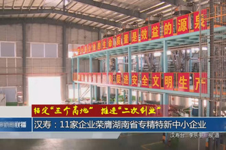 汉寿：11家企业荣膺湖南省专精特新中小企业