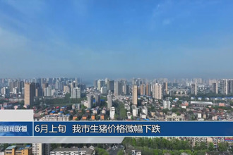 6月上旬 常德市生猪价格微幅下跌