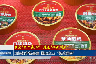 加快数字新基建 推动企业“智改数转”