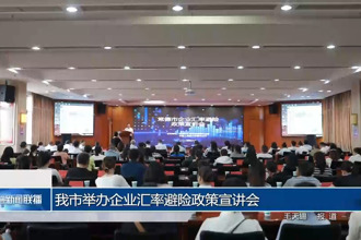 常德市举办企业汇率避险政策宣讲会