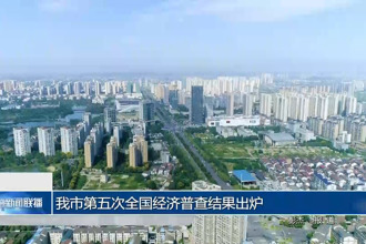 常德市第五次全国经济普查结果出炉