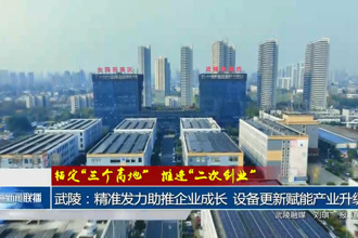 武陵：精准发力助推企业成长 设备更新赋能产业升级