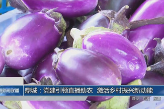 鼎城：党建引领直播助农 激活乡村振兴新动能