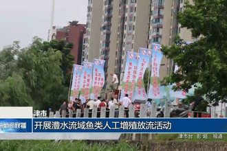 津市：开展澧水流域鱼类人工增殖放流活动