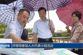 市领导参加人大代表小组活动