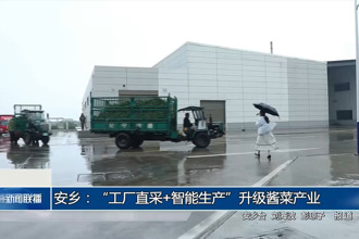 安乡：“工厂直采+智能生产”升级酱菜产业