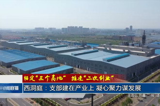 西洞庭：支部建在产业上 凝心聚力谋发展