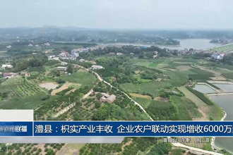 澧县：枳实产业丰收 企业农户联动实现增收6000万元