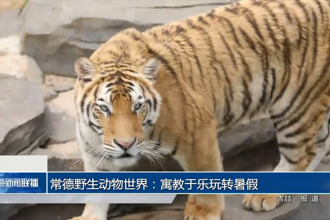 常德野生动物世界：寓教于乐玩转暑假