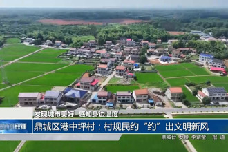 鼎城区港中坪村：村规民约“约”出文明新风