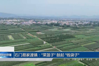 石门易家渡镇："菜篮子" 鼓起 "钱袋子"