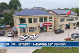柳叶湖同德村：特色种植拓宽农民致富路