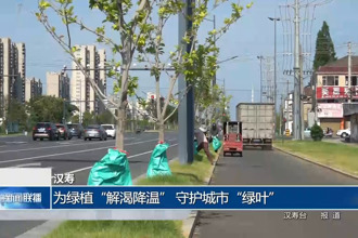 汉寿：为绿植“解渴降温” 守护城市绿叶