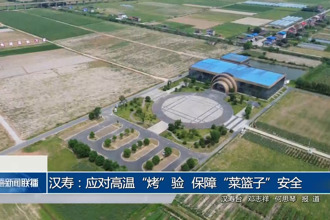 汉寿：应对高温“烤”验 保障“菜篮子”安全