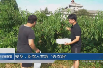 安乡：新农人共筑“兴农路”
