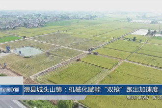澧县城头山镇：机械化赋能“双抢”跑出加速度