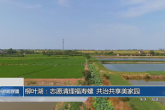柳叶湖：志愿清理福寿螺 共治共享美家园