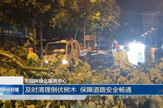 市园林绿化服务中心：及时清理倒伏树木 保障道路安全畅通