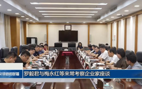 罗毅君与梅永红等来常考察企业家座谈