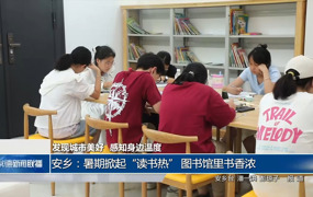 安乡：暑期掀起“读书热” 图书馆里书香浓