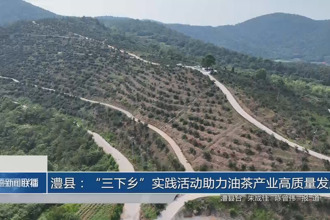 澧县：“三下乡”实践活动助力油茶产业高质量发展