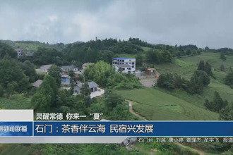 石门：茶香伴云海 民宿兴发展