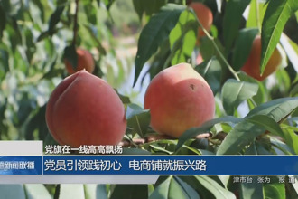 党员引领践初心 电商铺就振兴路