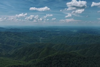 【鼎城】"花岩溪的朋友圈"陈楚誉