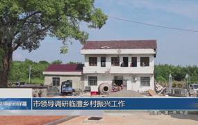 市领导调研临澧乡村振兴工作