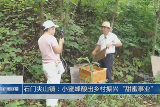 石门夹山镇：小蜜蜂酿出乡村振兴“甜蜜事业”