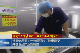 常德倍乐福：一粒绿豆的“健康蜕变”，开辟食品产业新赛道
