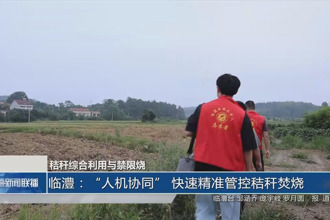 临澧：“人机协同” 快速精准管控秸秆焚烧